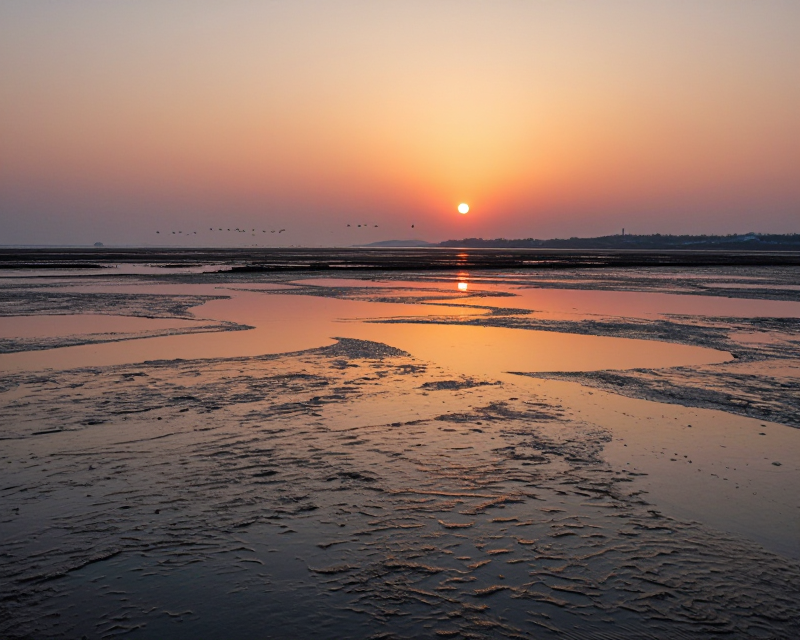 Korean Tidal Flats Landscape